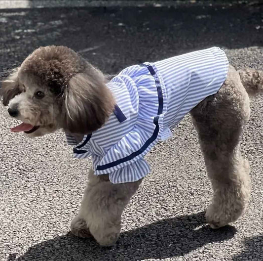 Naomi Dog Blouse | Stripe Detail Dog Top