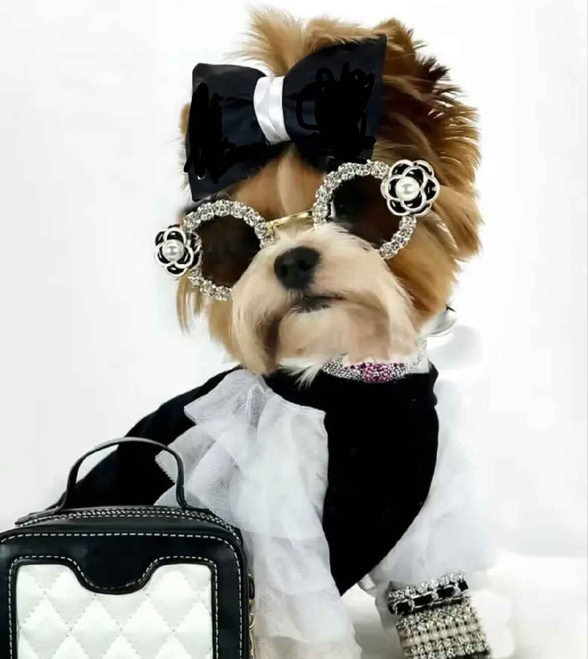 Coco Dress & Bow Set | Designer Dog Dress & Matching Bow