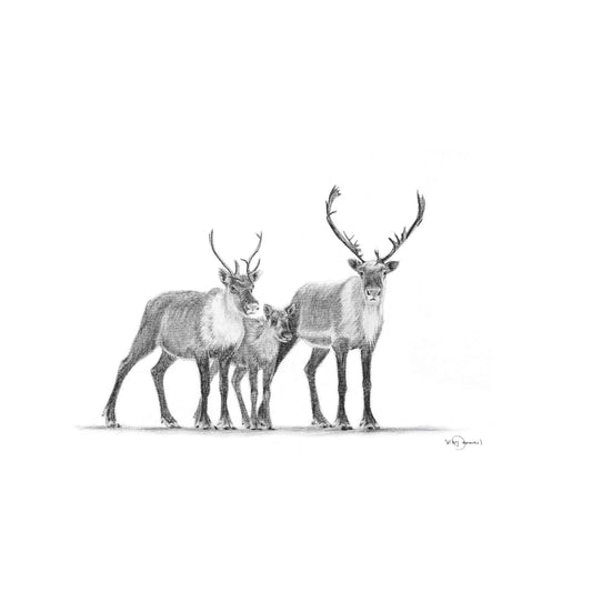 Caribou family Greeting Card