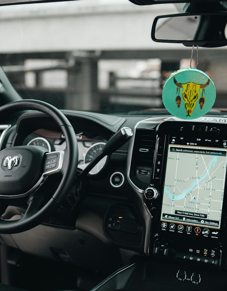 Interior Rear View Mirror Hanging (Drum) Buffalo