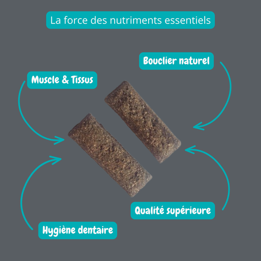Biscuit au foie de porc