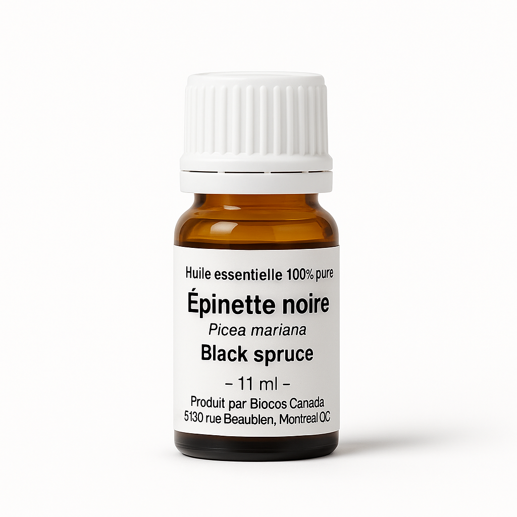 Ăpinette noire