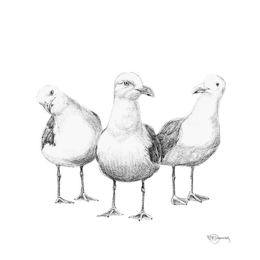 Funny Seagulls - black and white animal art