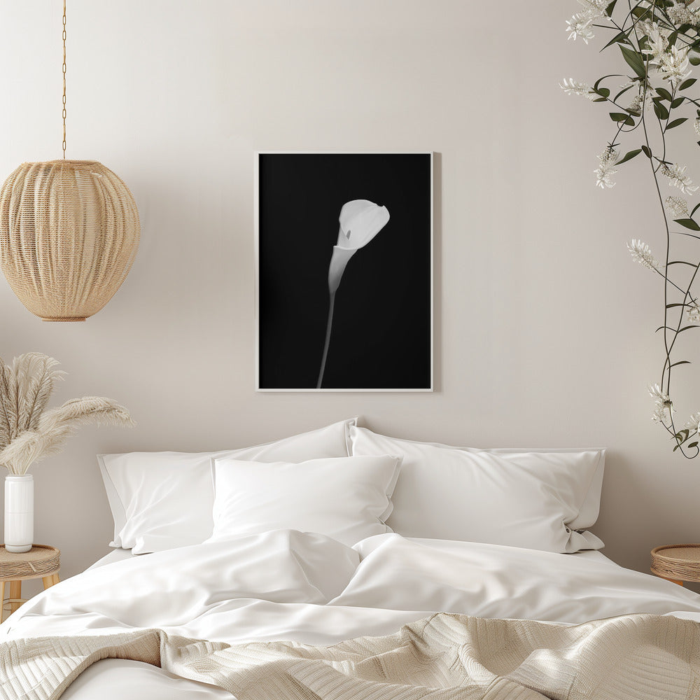 Wandbild Calla | dunkles Design