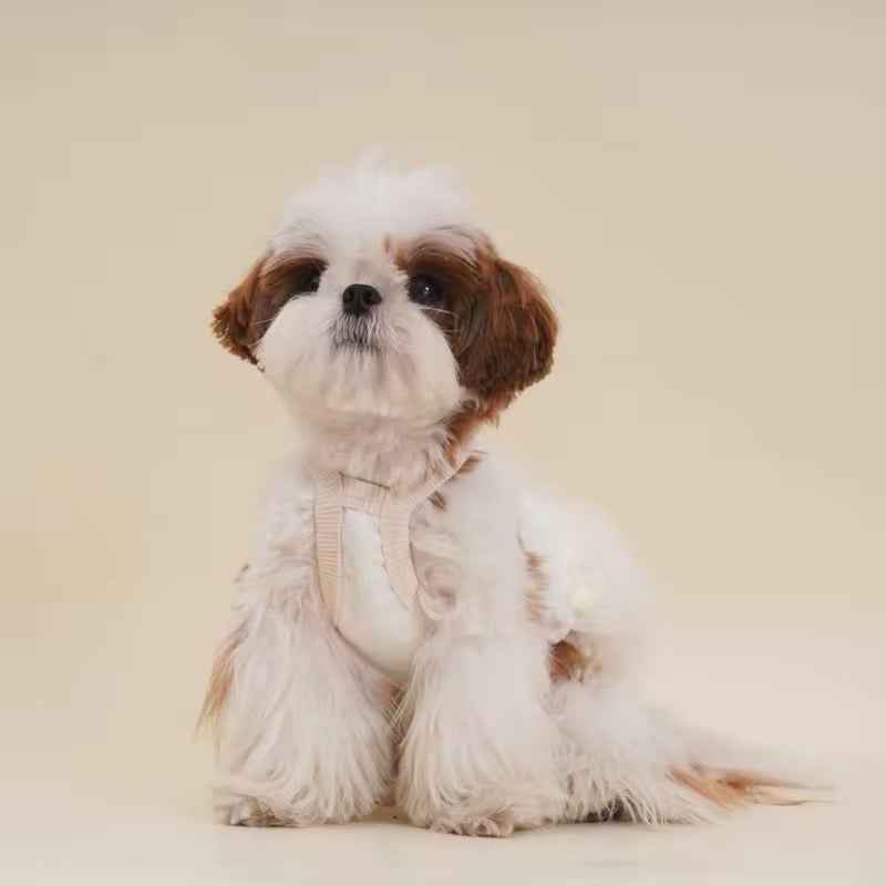 Tina Dress for Dogs – Elegant Tutu Dog Dress