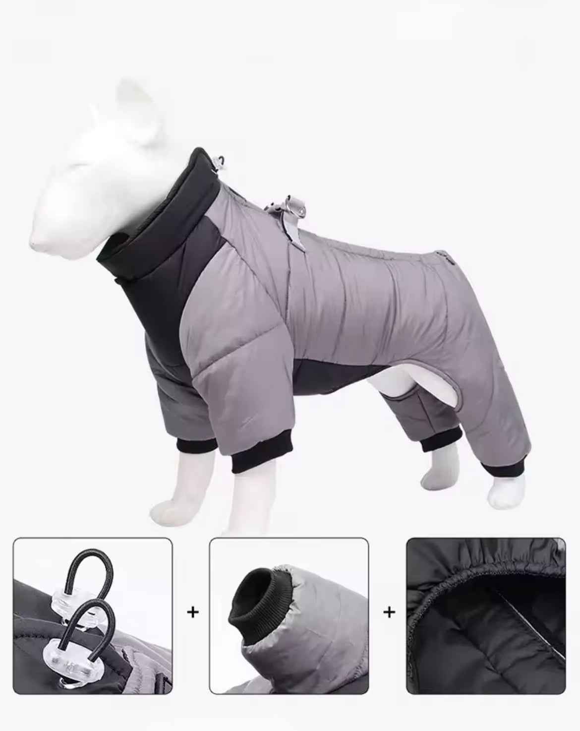 Vancouver Dog Rain Jacket | Waterproof Dog Jacket