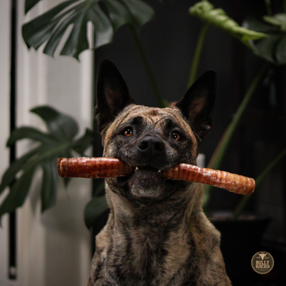 12 Inch Trachea Wrapped in Jerky