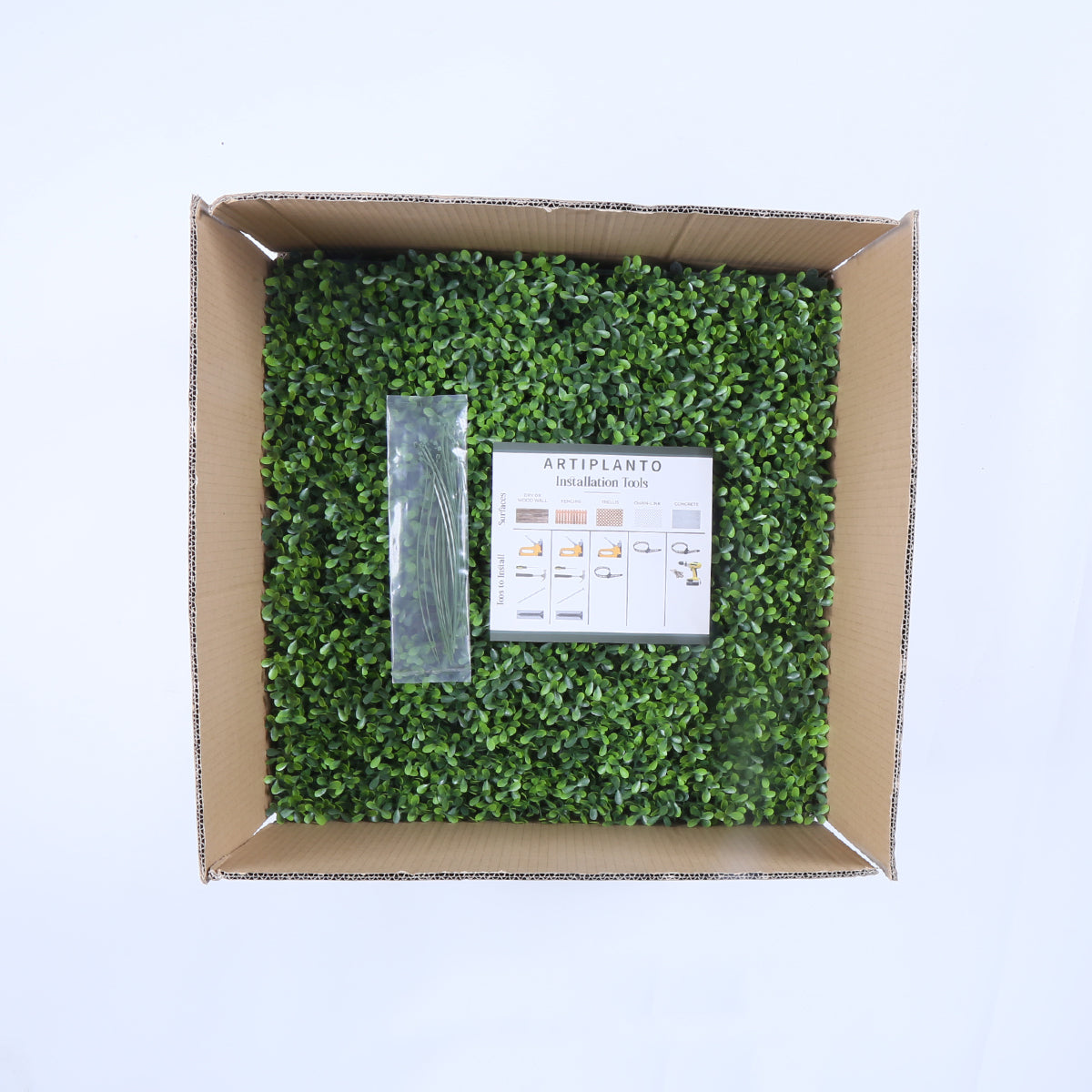 Valencia (box of 12)