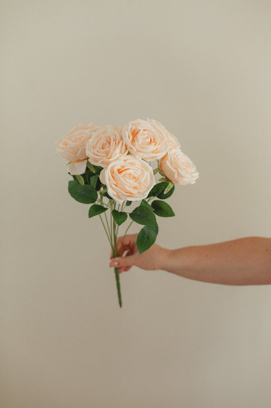 New Rose Bundle