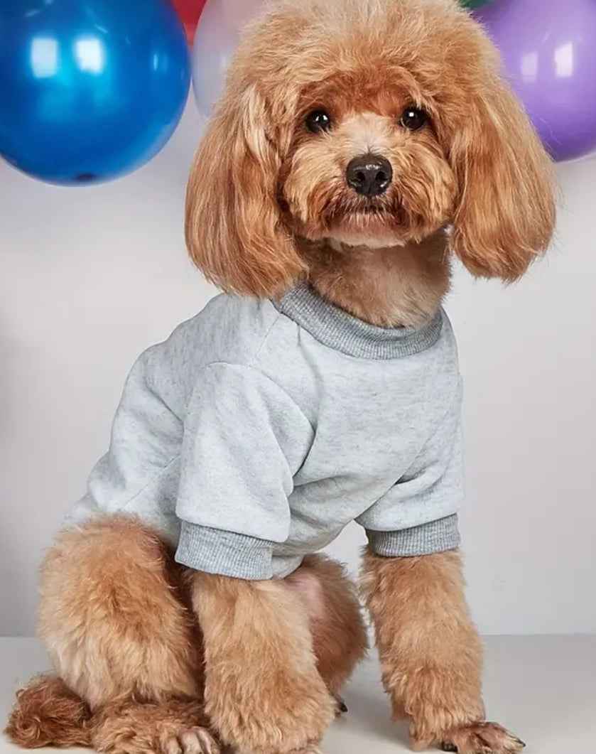 Shark Bait Dog Shirt | Graphic Dog T-Shirt