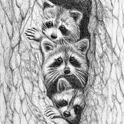 3 Raccoons in a tree - animal art print