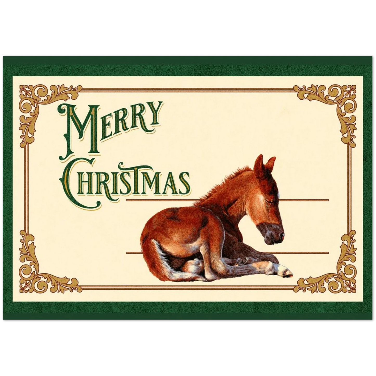 Sleepy Foal Christmas Card – Premium Pack of 10 Greeting Cards