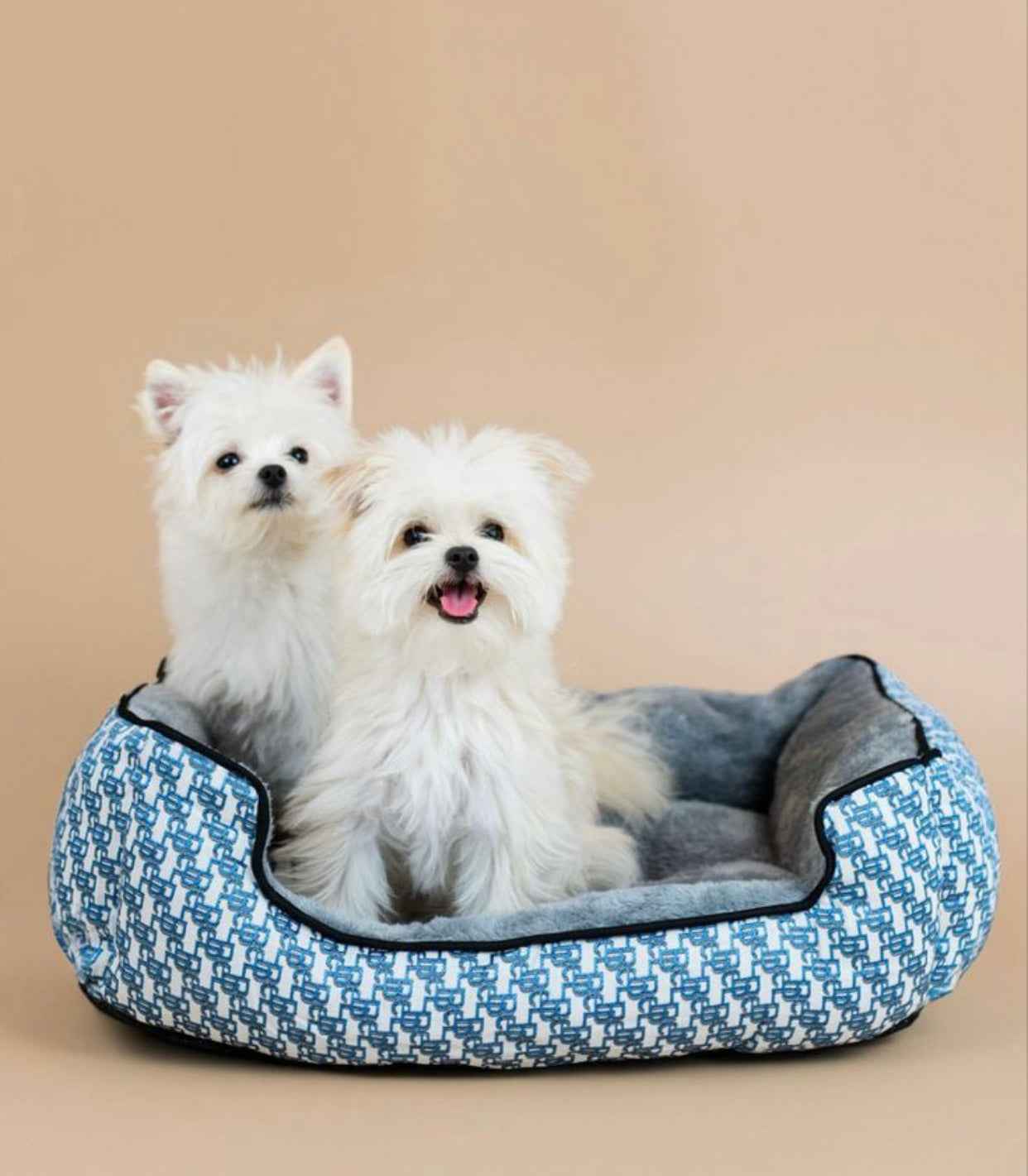 Bebe Bed