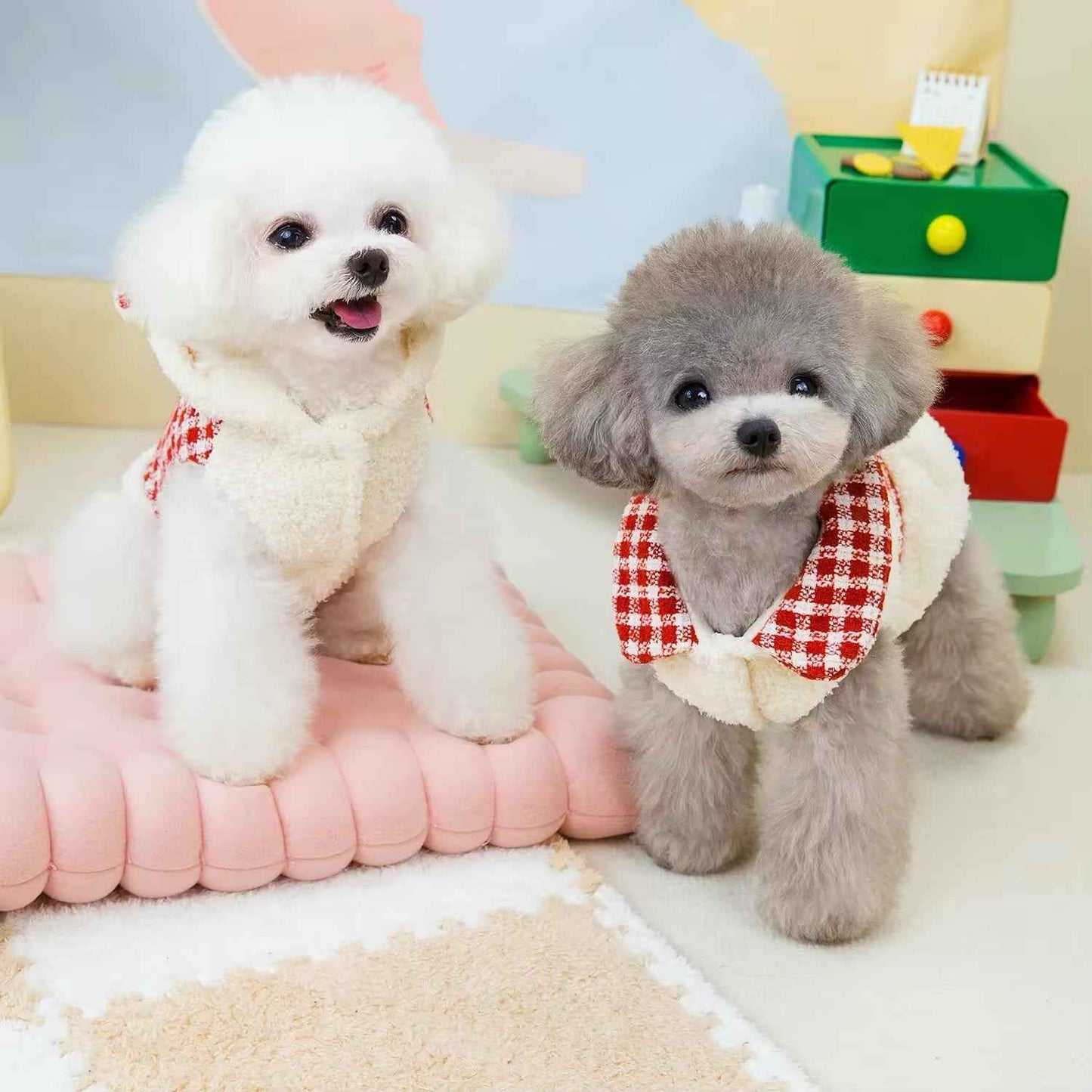 Nicholas Holiday Outfit for Dogs – Matching Dog Dress and Hoodie Set