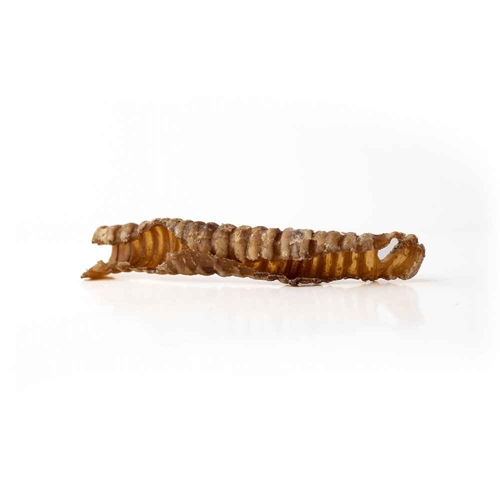5-7" Lamb Trachea