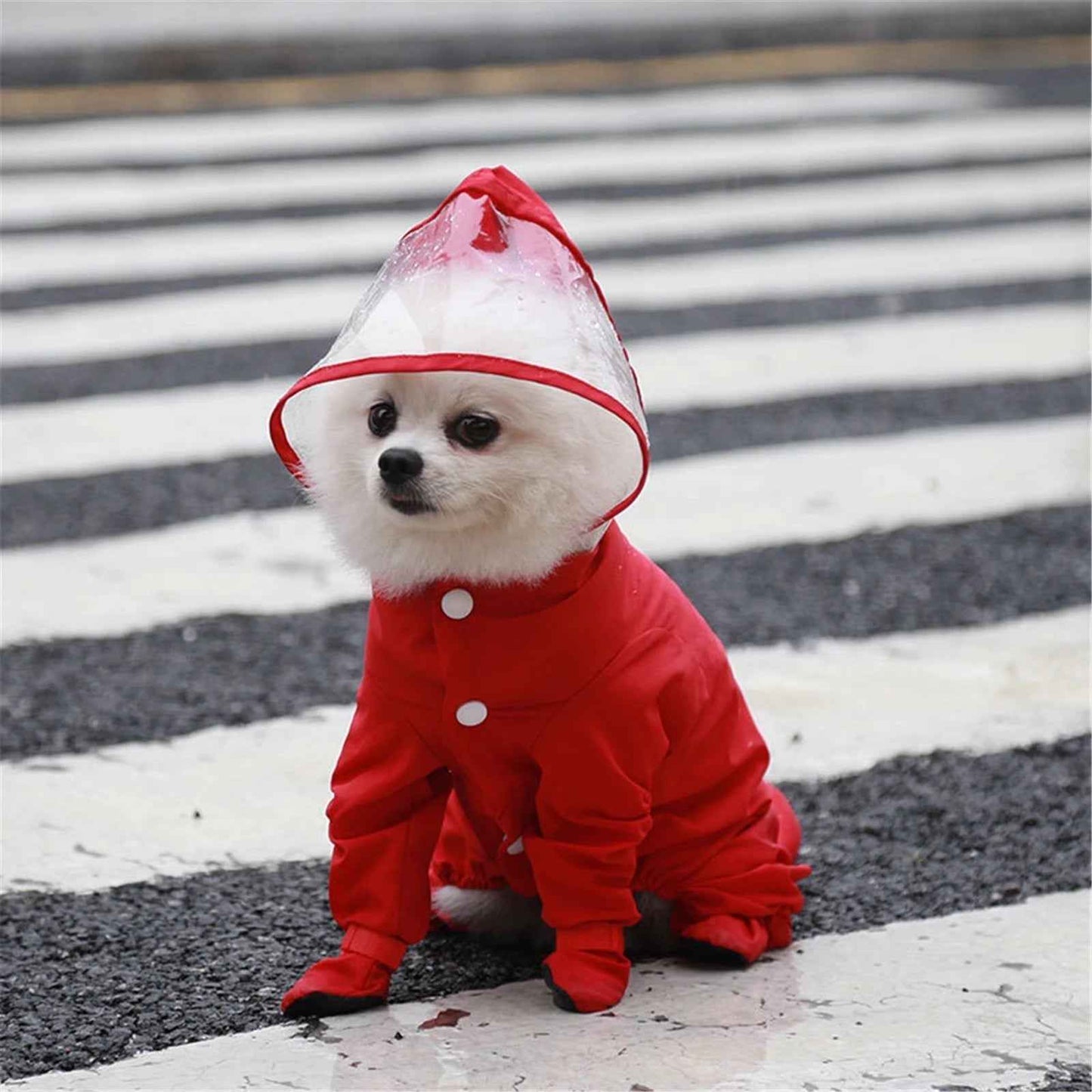 Canada Jacket