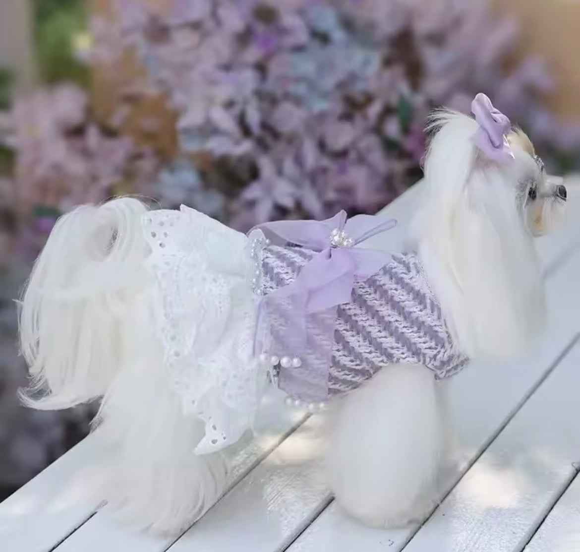 Lavender Dream Dress – Luxury Dog Dress