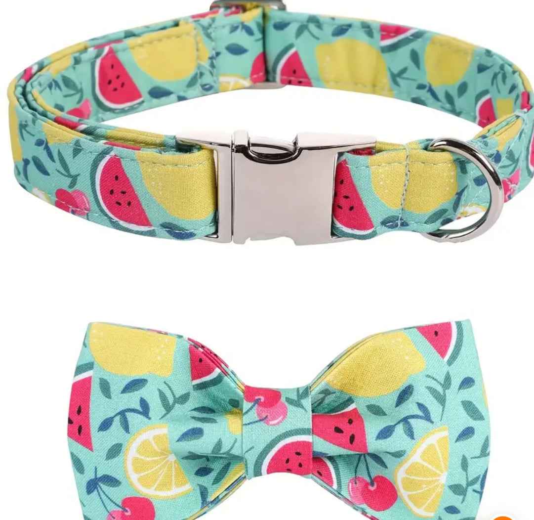 Watermelon Dog Bow Tie Collar | Printed Dog Collar