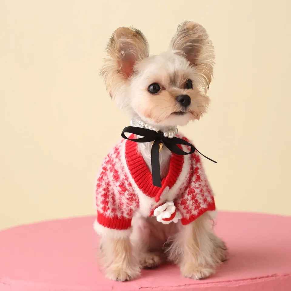 Rosalinda Cozy Knit Dog Sweater | Warm Everyday Dog Sweater