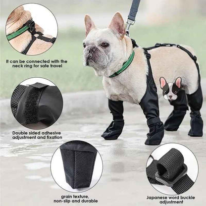 Suspender Dog Boots | Fashion Dog Boots with Suspenders