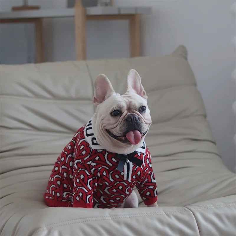 Brrbrry Dog Sweater | Knit Dog Sweater