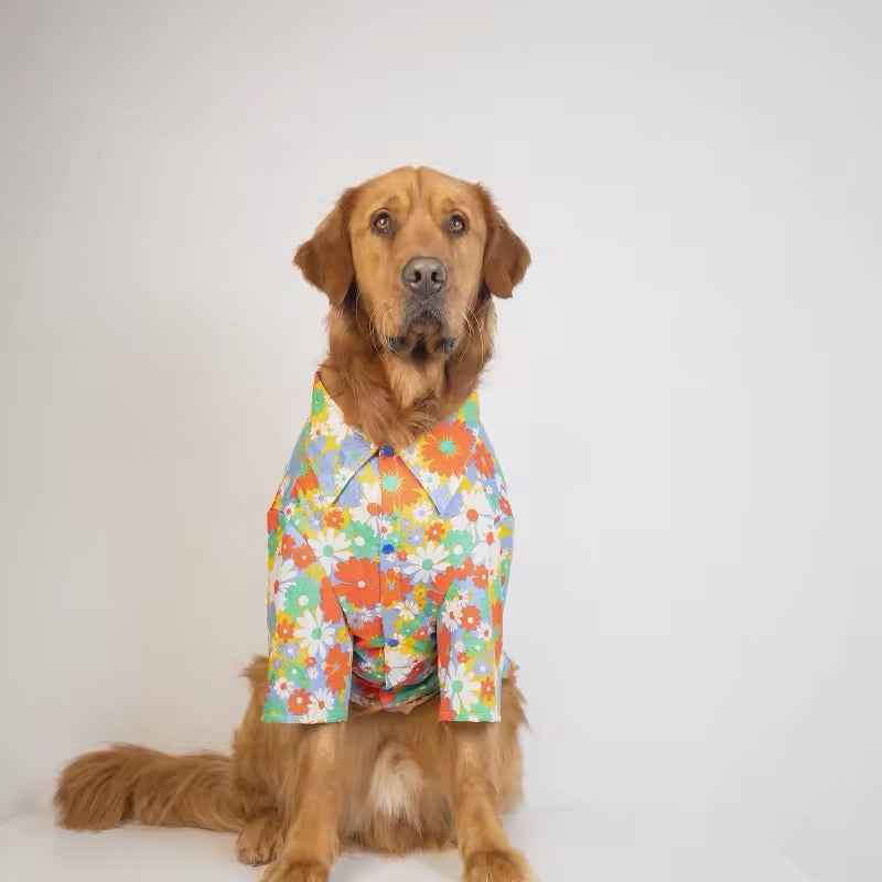 Merle Spring Shirt – Dog Shirt for Large Dogs