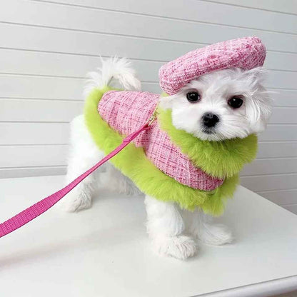 Plaid Harness Set | Dog Harness Leash and Hat Set
