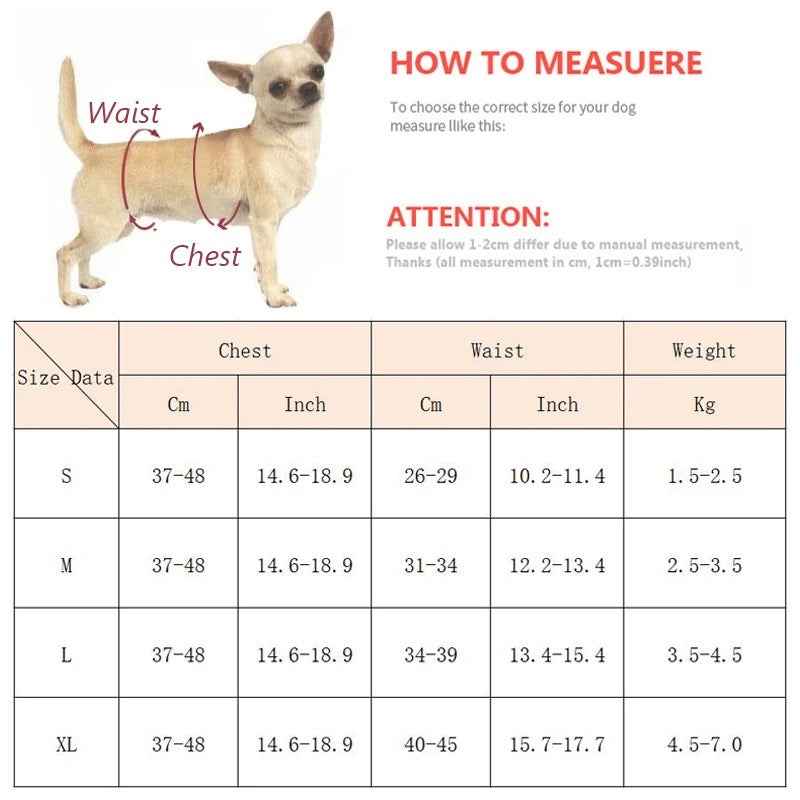 Rosie Swimsuit