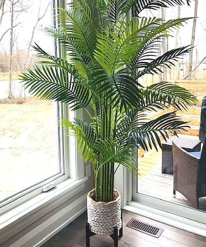 Arlo Artificial Hawaii Kwai Palm Tree Potted Plant (Multiple Sizes)