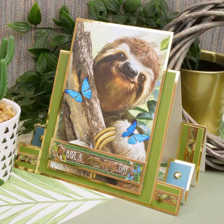 Into The Wild Adorable Scorable Selection