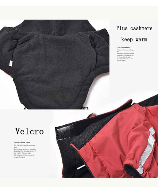 Pupreme Dog Jacket | Street Style Dog Jacket