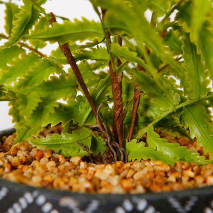 Bali Potted Faux Fern