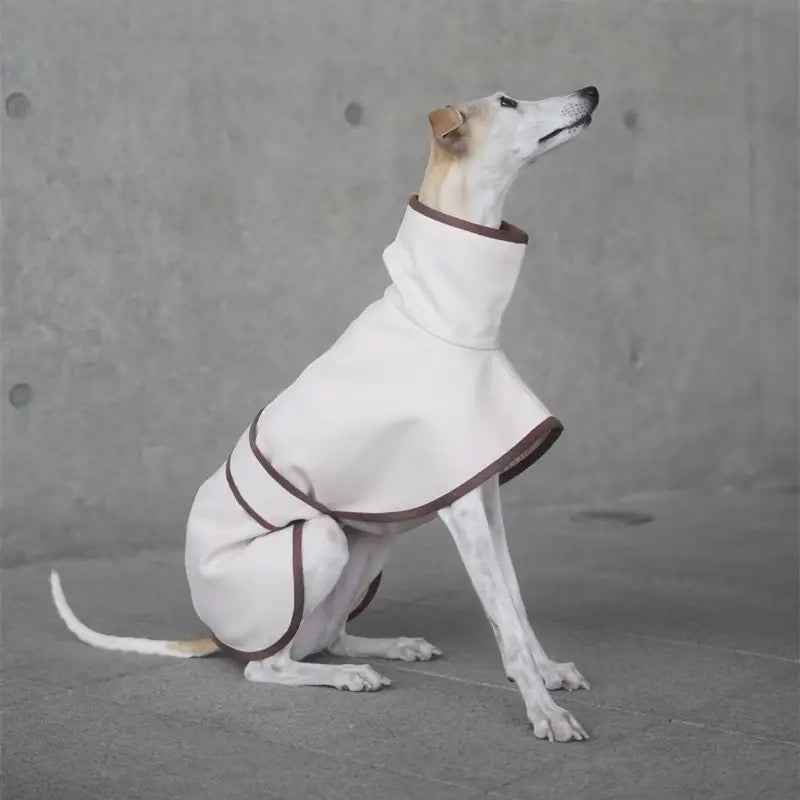 London Town Classic Dog Coat | Structured Dog Outerwear