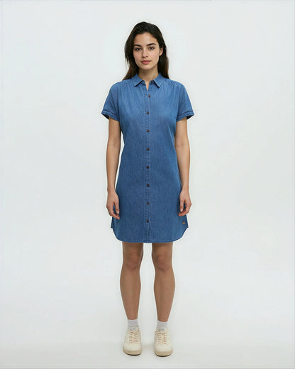Denim Tern Dress