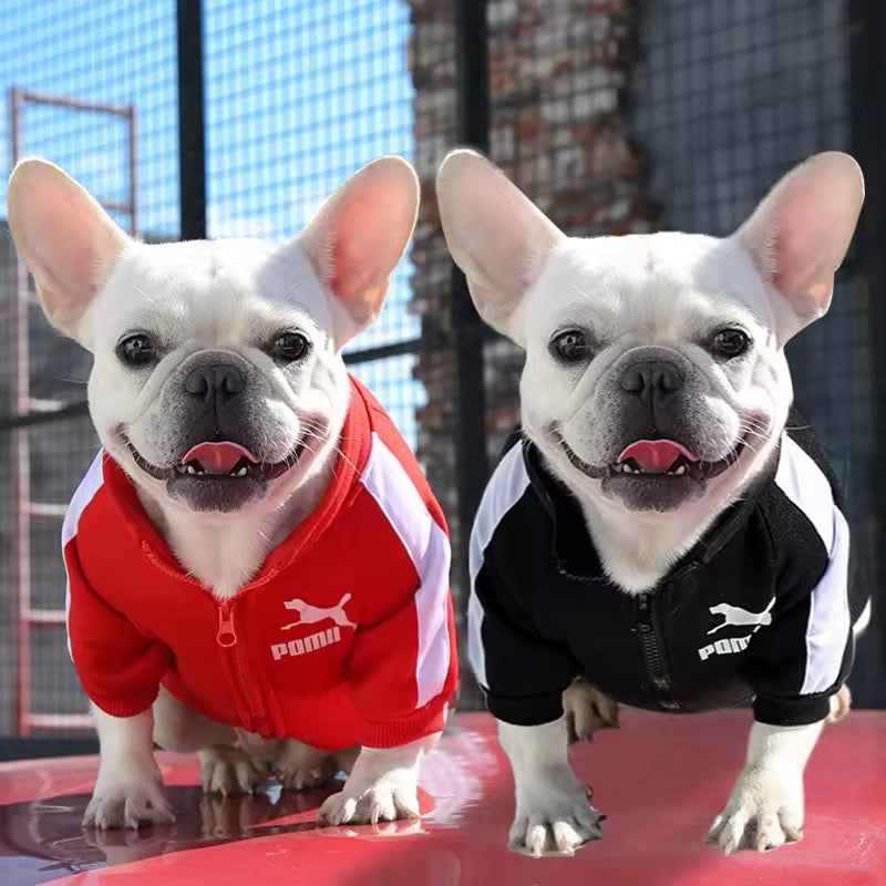 Poma Dog Jacket | Dog Jacket for Cold Weather