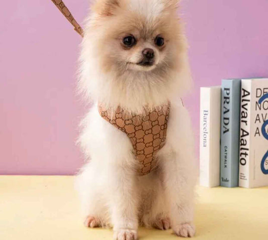 Gigi Dog Harness and Leash Set | Dog Walking Outfit