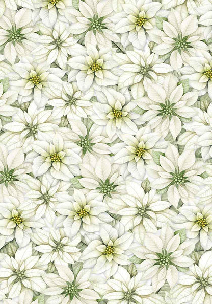 Ciao Bella Vellum Sparkling Christmas Paper Patterns A4 6/Pkg