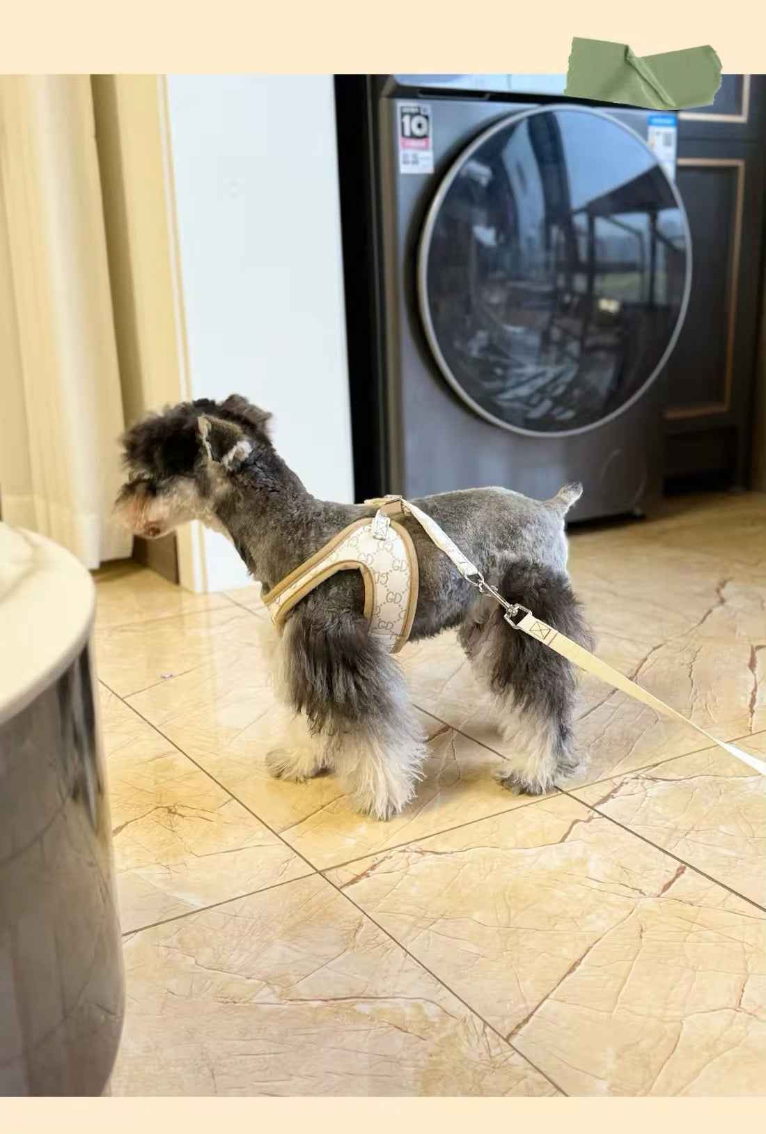 Gigi Dog Harness & Leash Set | Comfortable Dog Walking Set