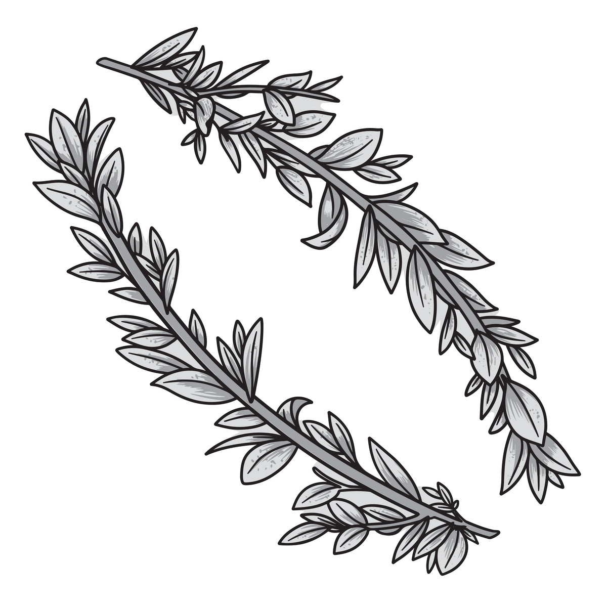 Couture Creations - Elegance Collection - Layering Stamp And Die Set - Curving Branches Mini (6pc)