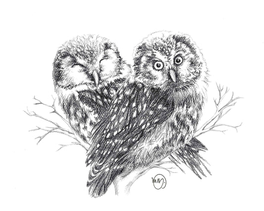 Owls in Love Greeting Card