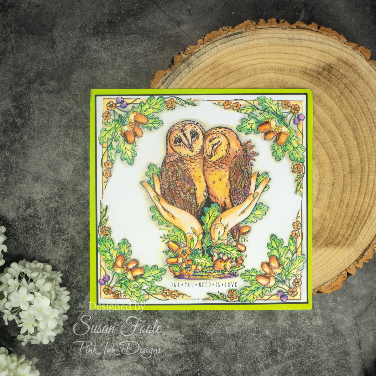 Pink Ink Designs An Owl In The Hand 6 in x 8 in Clear Stamp Set