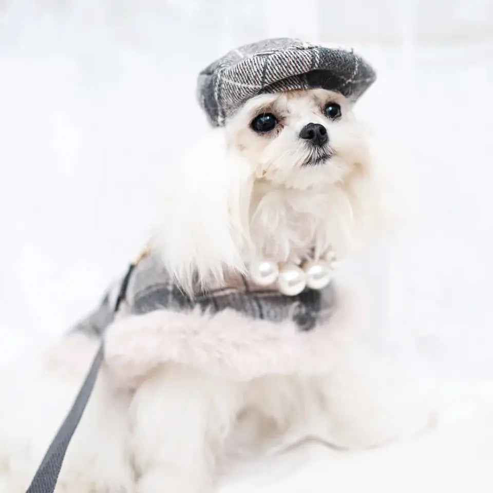 Peaky Street Tweed Dog Harness Set | Harness Hat and Leash Outfit