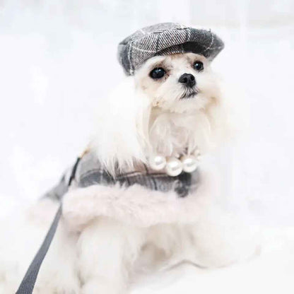 Peaky Street Tweed Dog Harness Set | Harness Hat and Leash Outfit