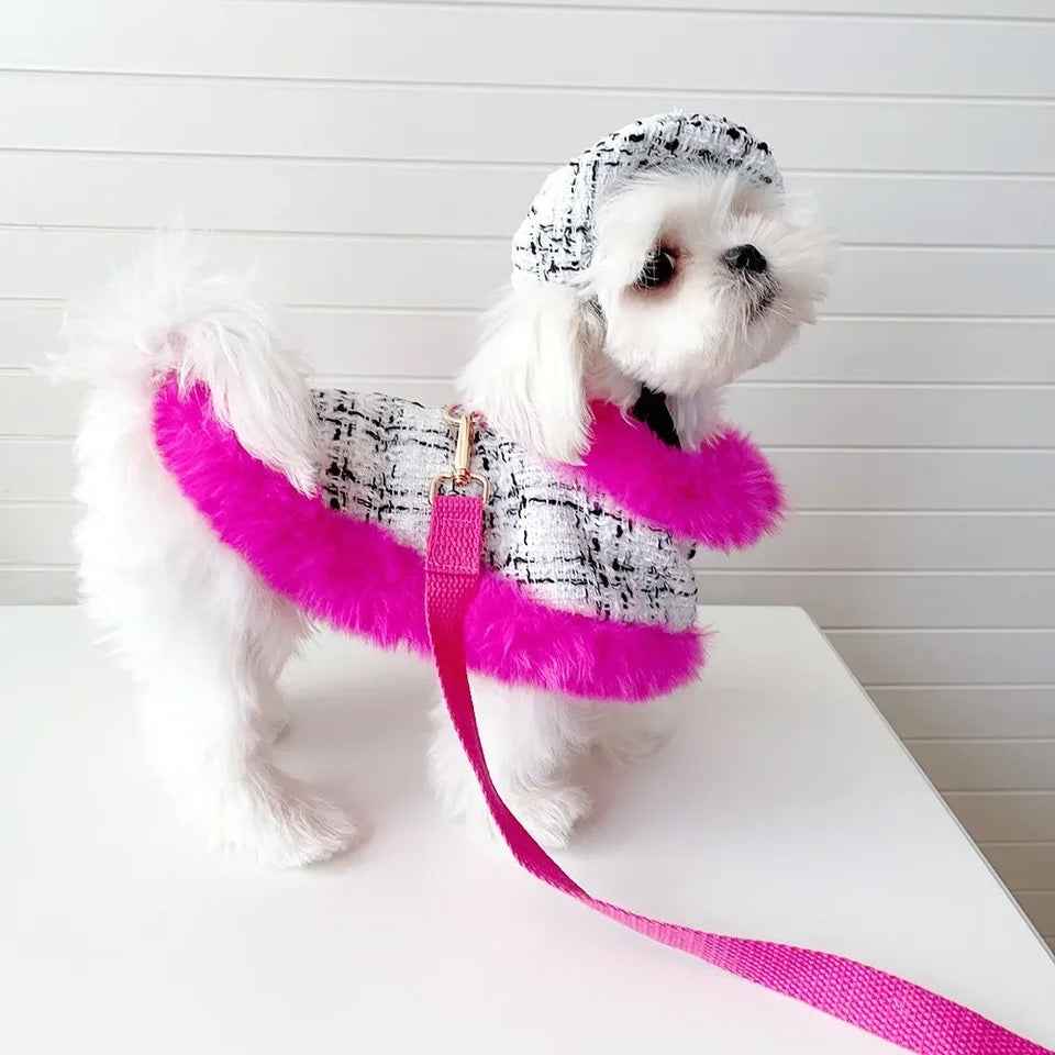 Ultra Violet Harness Set | Dog Harness Leash and Hat Set