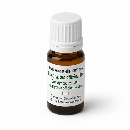Eucalyptus officinal (Radiata)