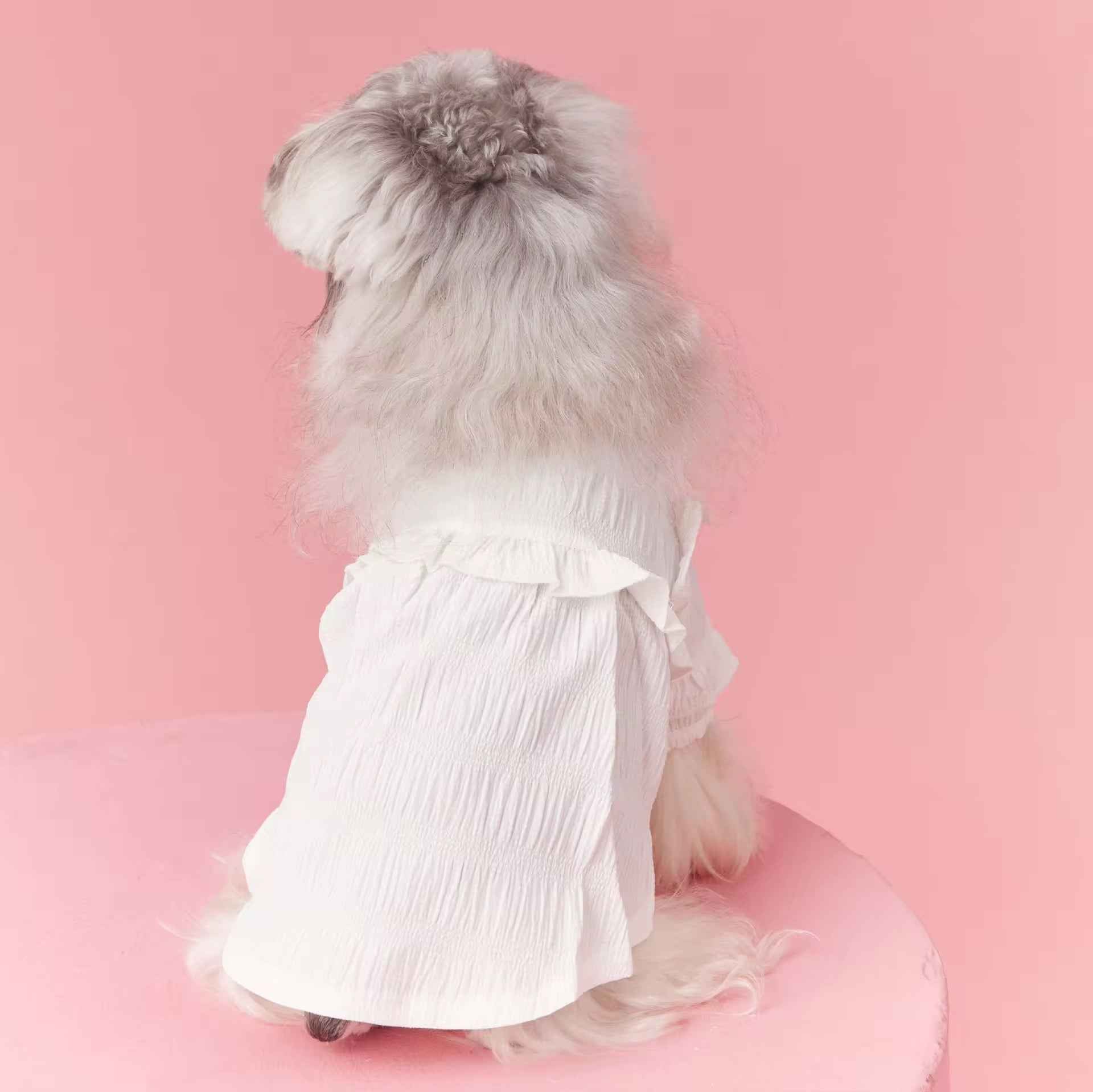 Alice Blouse for Dogs – Elegant Dog Blouse Outfit