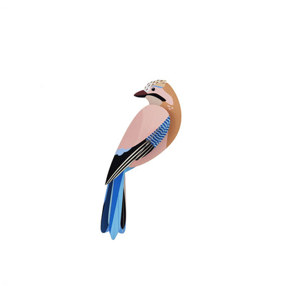 Jay