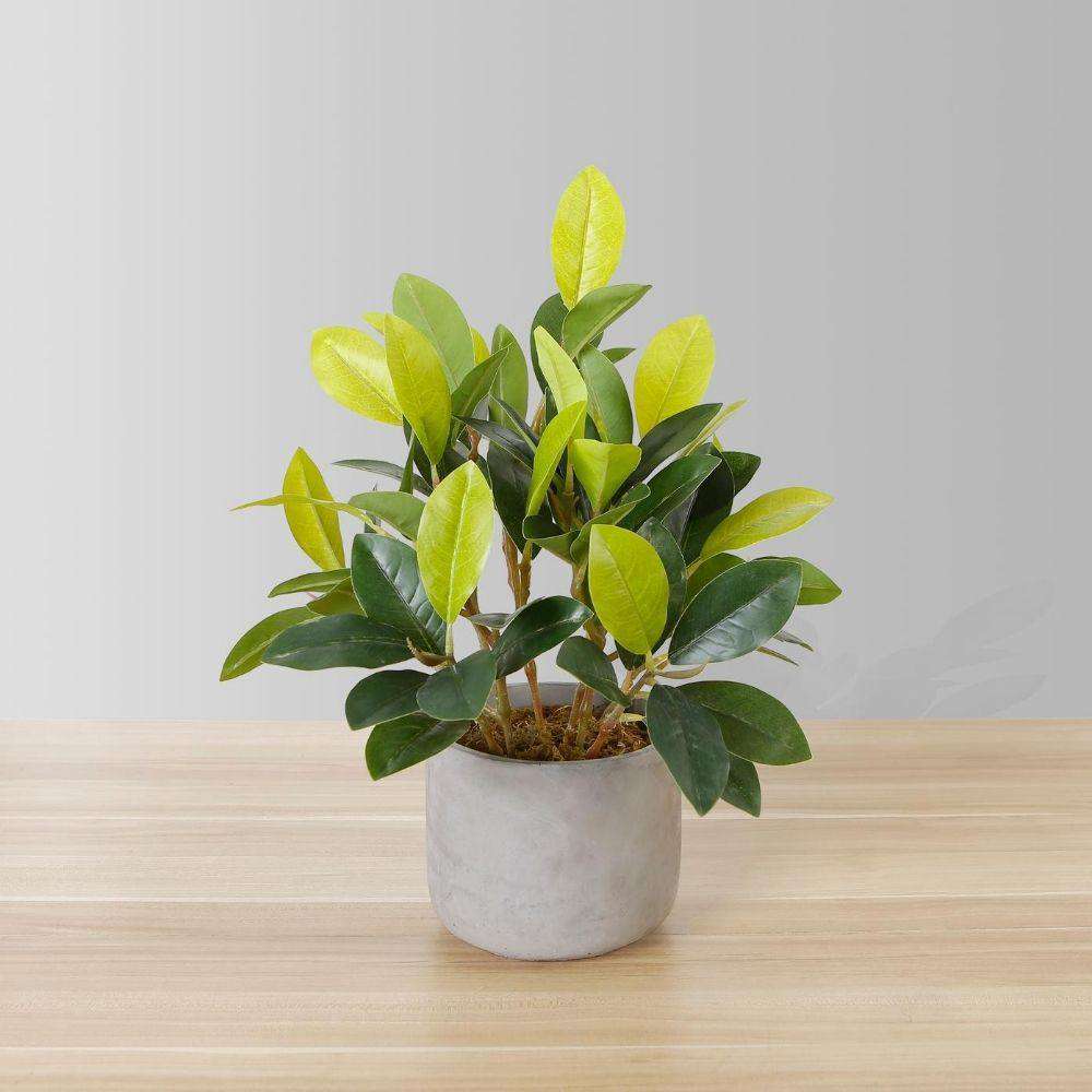 Moralilo Potted Faux Watercress Plant
