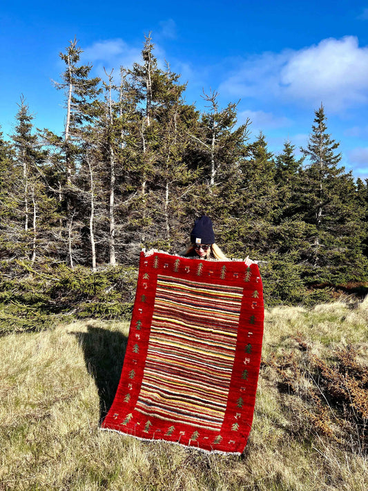 Gabbeh Rug | 3’7”x4’8”