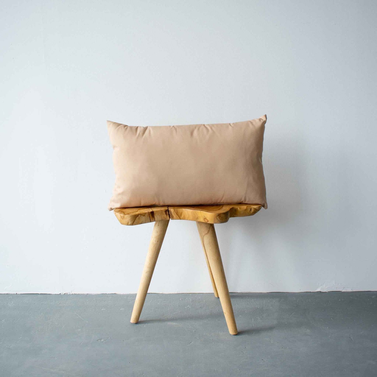 OUTDOOR PILLOW - BEIGE LUMBAR